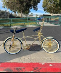 Gold 20 inch lowrider bike