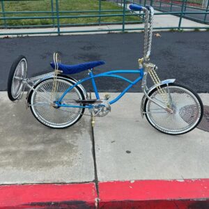 custom 20 inch bike chrome/blue